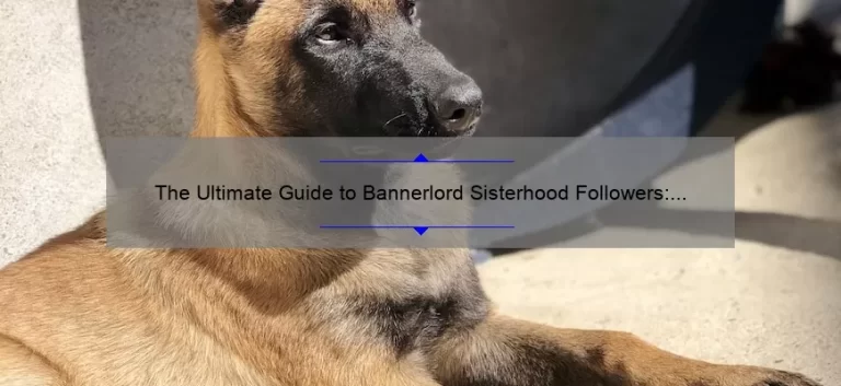 The Ultimate Guide to Bannerlord Sisterhood Follower