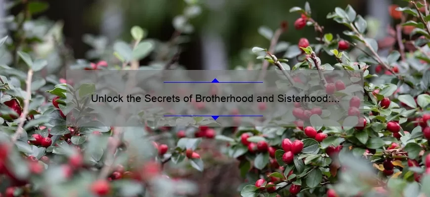 Unlock the Secrets of Brotherhood and Sisterhood: A Fascinating Story