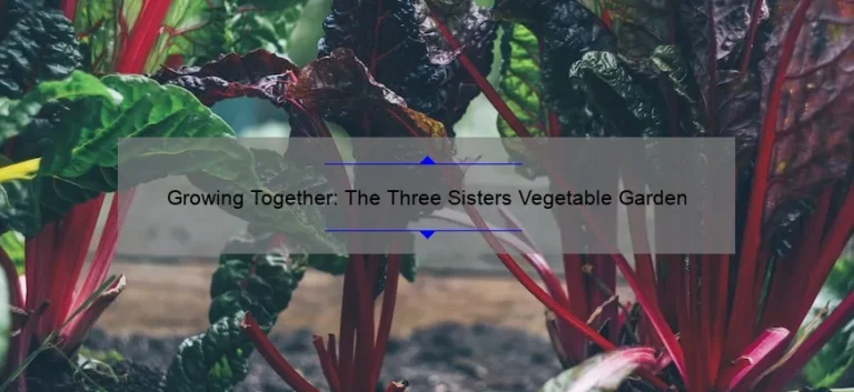 Growing Together: The Three Sisters Vegetable Garden