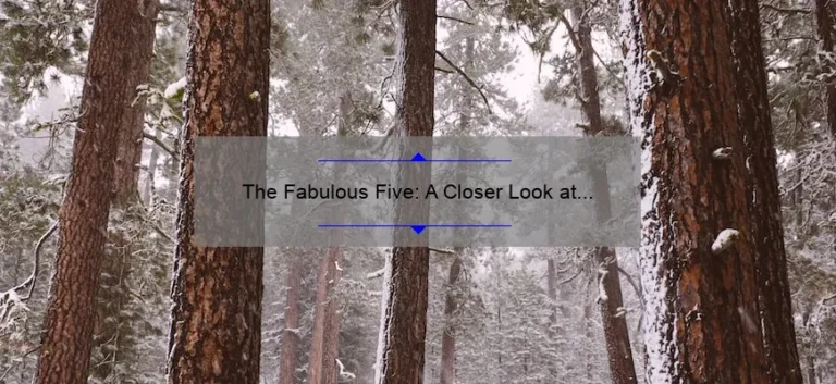 The Fabulous Five: A Closer Look at the Kardashian Sisters