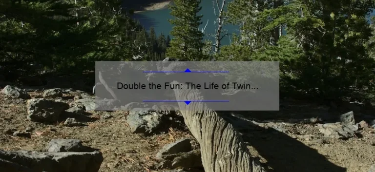 Double the Fun: The Life of Twin Sisters