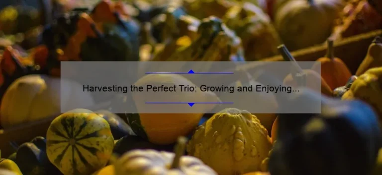Harvesting the Perfect Trio: Growing and Enjoying 3 Sisters Corn, Squash, and Beans