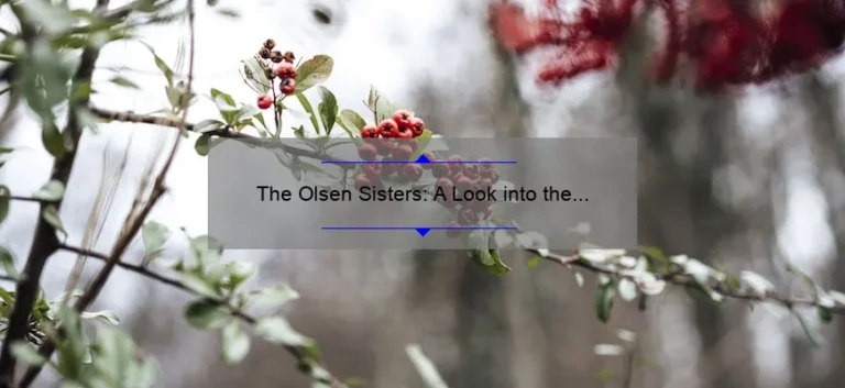 The Olsen Sisters: A Look into the Lives of Elizabeth, Mary-Kate, and Ashley