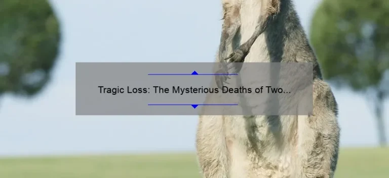 Tragic Loss: The Mysterious Deaths of Two Saudi Sisters in Australia
