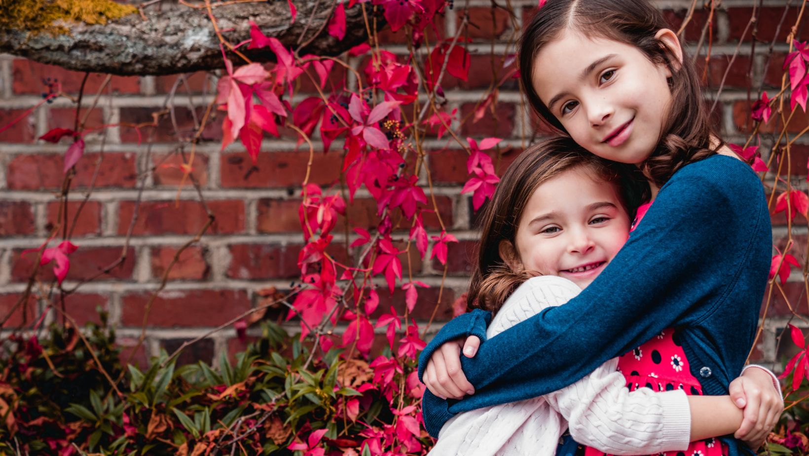 Dynamics of Sibling Relationships: Why Are Older Brothers so Mean to Younger Sisters