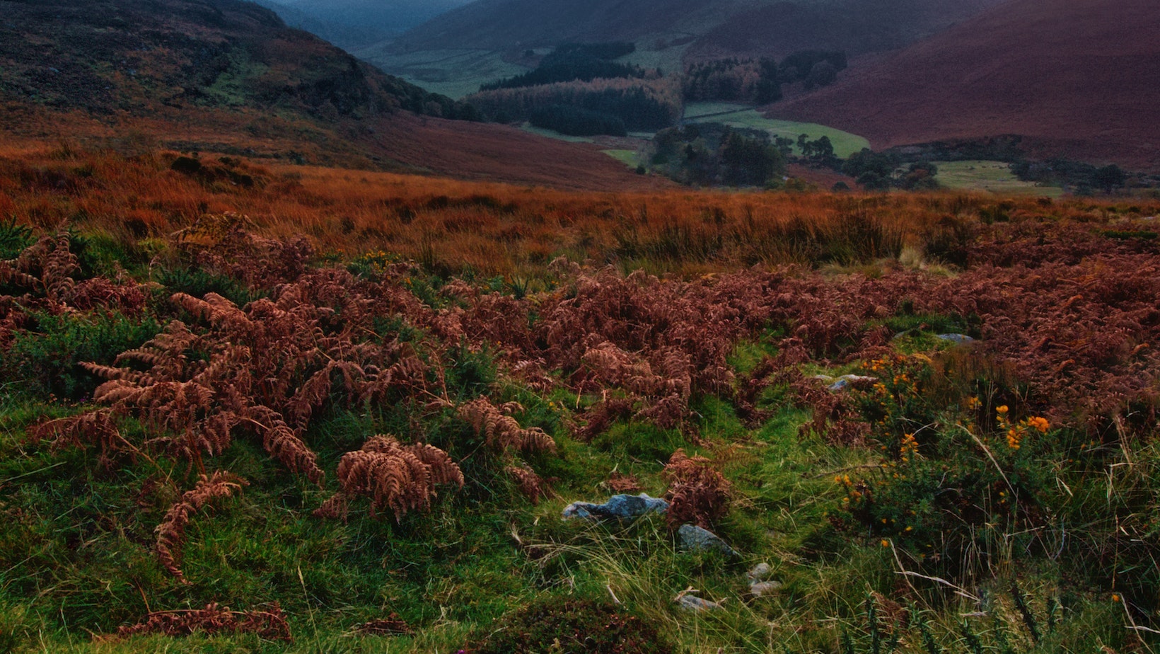 Where is Bad Sisters Filmed in Ireland - Uncover the Scenic Locations