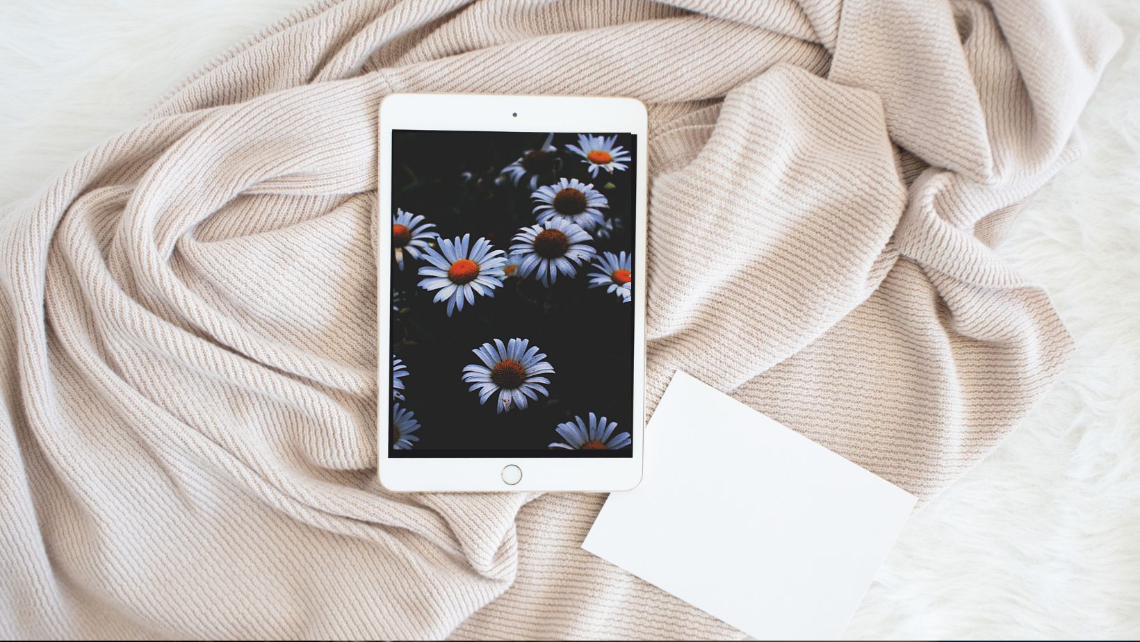 cute wallpapers for ipad