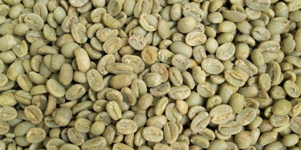 los granos de café son de color verde y