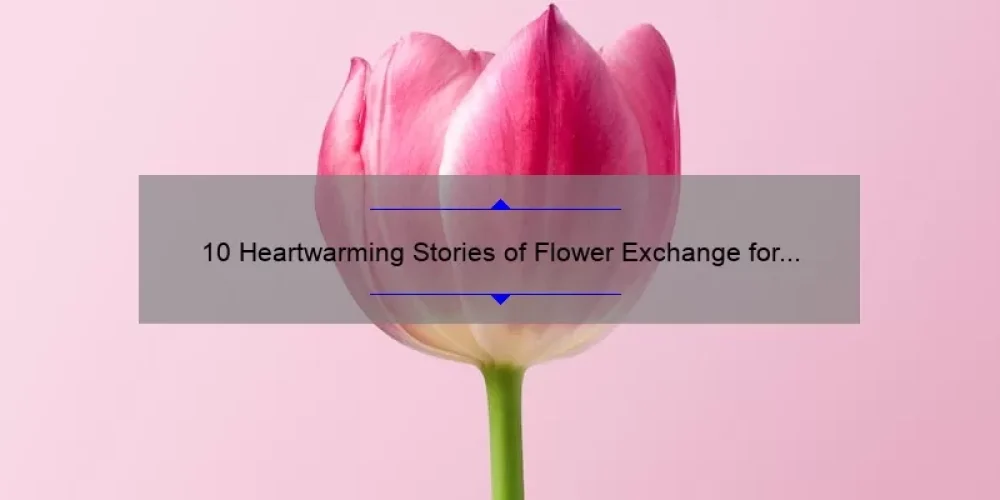 10 Heartwarming Stories of Flower Exchange for Sisterhood [Plus Tips on Choosing the Perfect Bouquet]