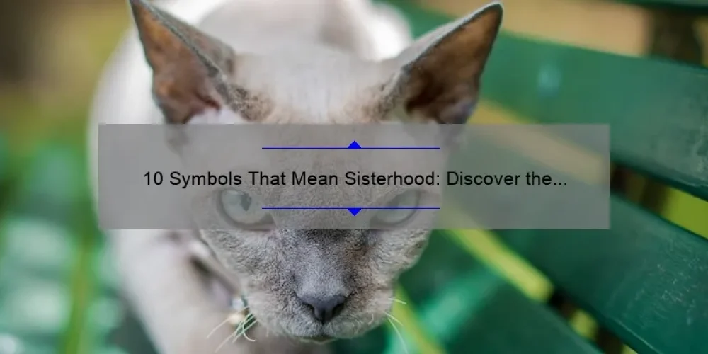 10 Symbols That Mean Sisterhood: Discover the Meaning Behind These Powerful Symbols [Keyword: Symbols That Mean Sisterhood]