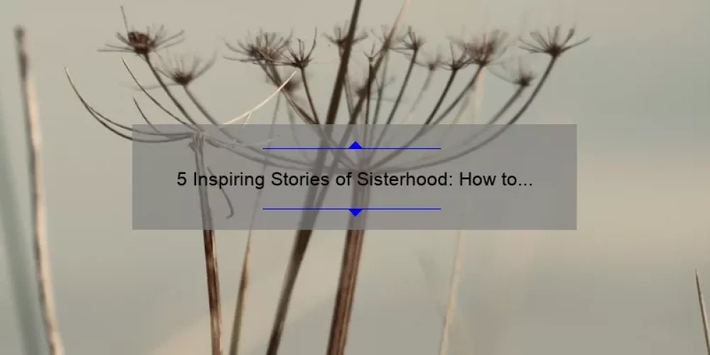 5 Inspiring Stories of Sisterhood: How to Live by the Motto About Sisterhood [Tips and Tricks Included]