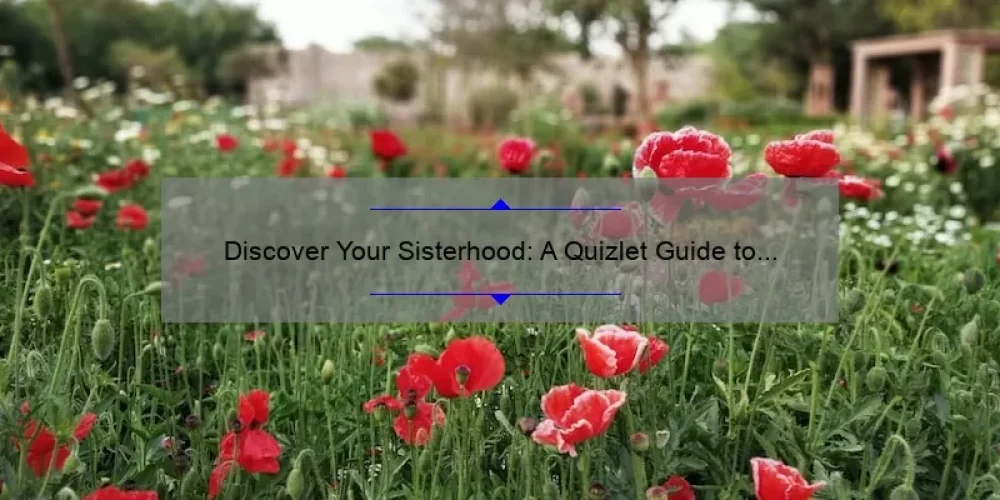 Discover Your Sisterhood: A Quizlet Guide to Finding Your Tribe [With Stats and Tips]