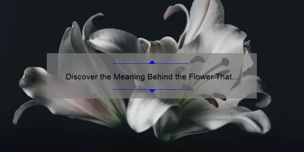 Discover the Meaning Behind the Flower That Symbolizes Sisterhood: A Personal Story and Practical Guide [With Stats and Tips]