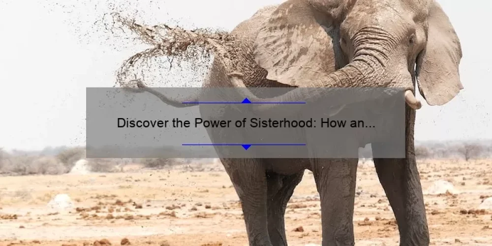 Discover the Power of Sisterhood: How an Elephant Ornament Brought Us Together [5 Tips for Building Strong Bonds]