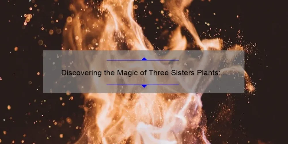 Discovering the Magic of Three Sisters Plants: A Guide to Growing and Harvesting