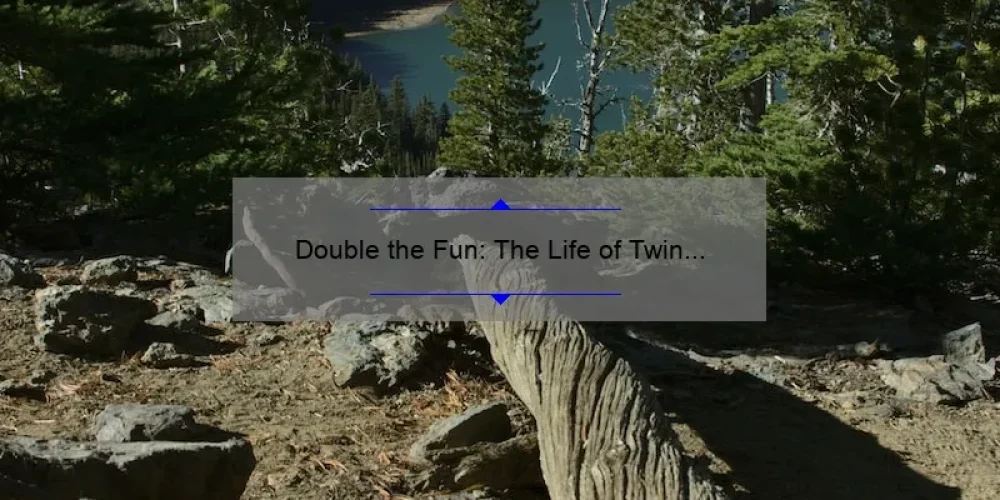 Double the Fun: The Life of Twin Sisters