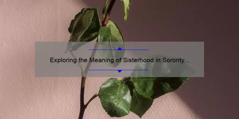 Exploring the Meaning of Sisterhood in Sorority Life: A Personal Perspective