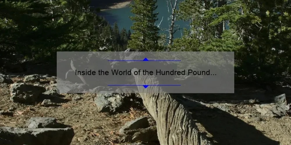 Inside the World of the Hundred Pound Sisters: A Journey of Struggle and Triumph