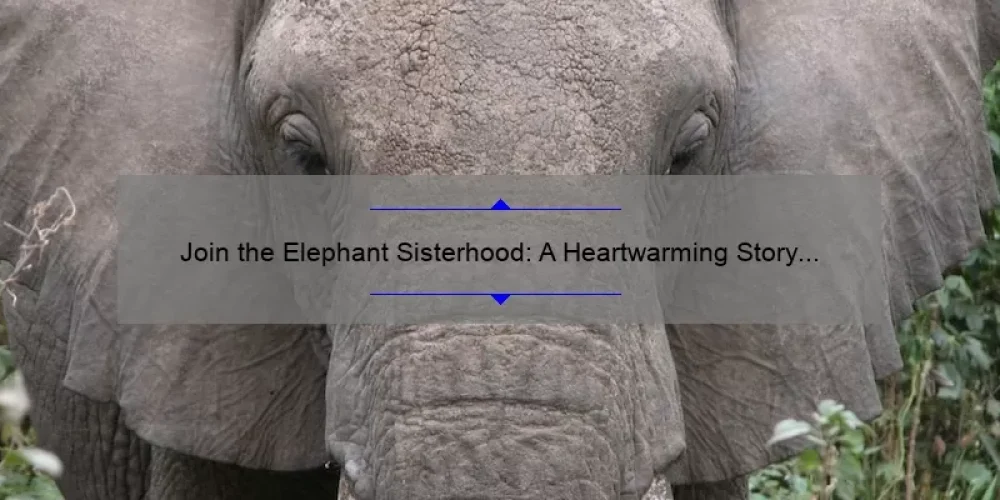 Join the Elephant Sisterhood: A Heartwarming Story and 5 Reasons Why You Need the Bracelet [Ultimate Guide]