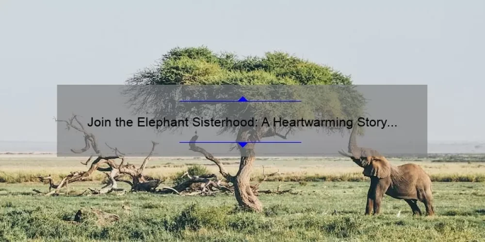 Join the Elephant Sisterhood: A Heartwarming Story and 5 Ways to Support These Majestic Creatures [Keyword]