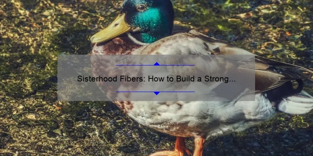 Sisterhood Fibers: How to Build a Strong Community [With Inspiring Stories, Practical Tips, and Data-Backed Insights]