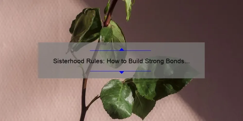 Sisterhood Rules: How to Build Strong Bonds and Overcome Challenges [With Real-Life Stories and Data-Backed Tips]