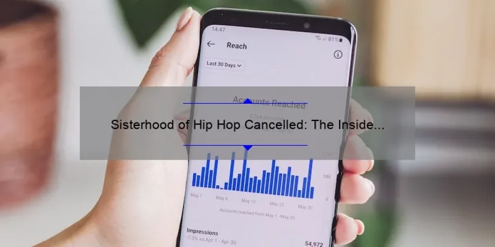 Sisterhood of Hip Hop Cancelled: The Inside Story, Useful Information, and Shocking Statistics [For Fans and Critics]