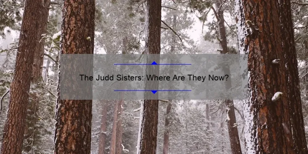 The Judd Sisters: Where Are They Now?