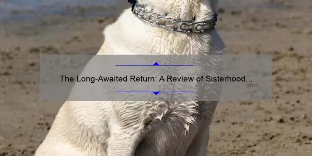 The Long-Awaited Return: A Review of Sisterhood of the Traveling Pants 3