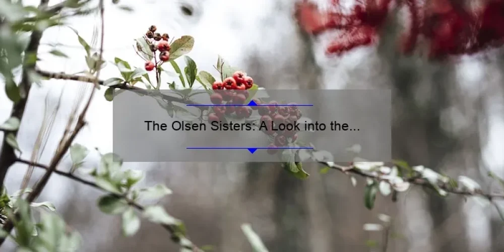 The Olsen Sisters: A Look into the Lives of Elizabeth, Mary-Kate, and Ashley