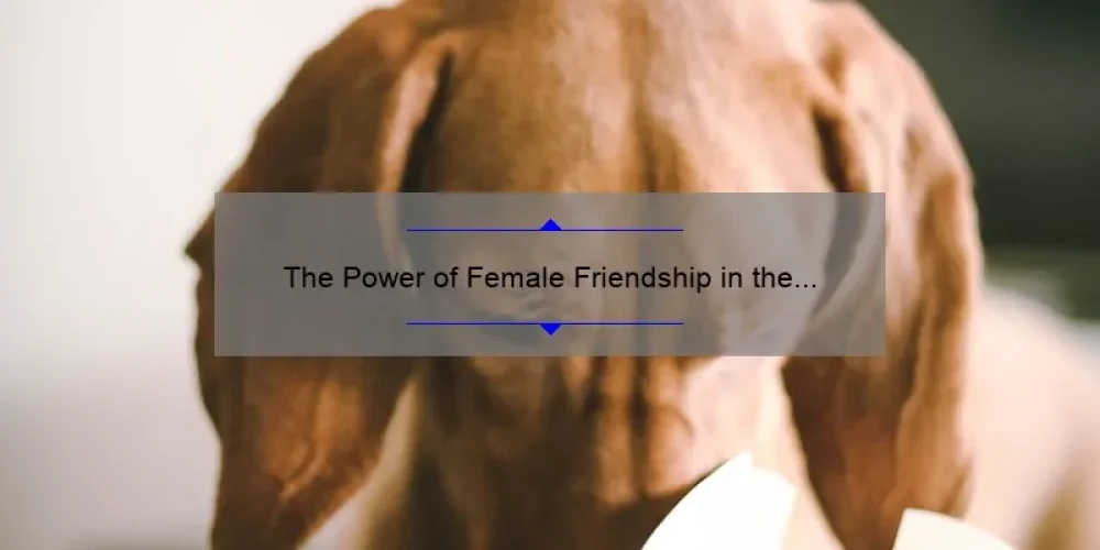 The Power of Female Friendship in the Sisterhood of the Traveling Pants Book Genre