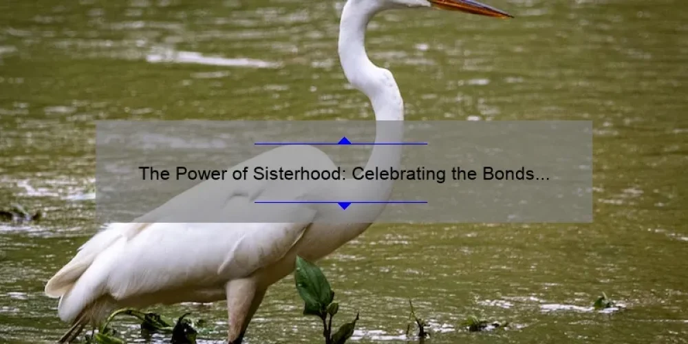 The Power of Sisterhood: Celebrating the Bonds of Tennessee Women