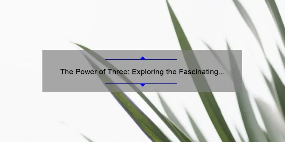 The Power of Three: Exploring the Fascinating World of the 3 Sisters Plant