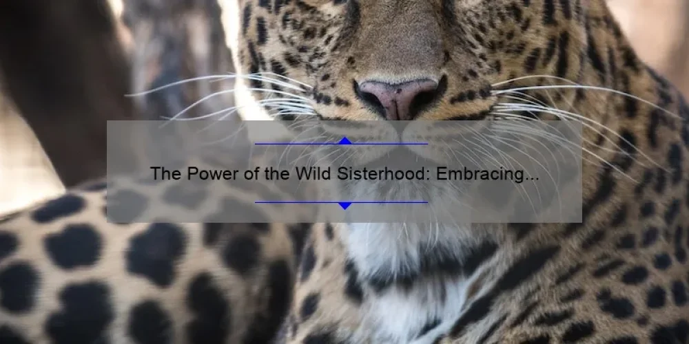 The Power of the Wild Sisterhood: Embracing Connection and Empowerment