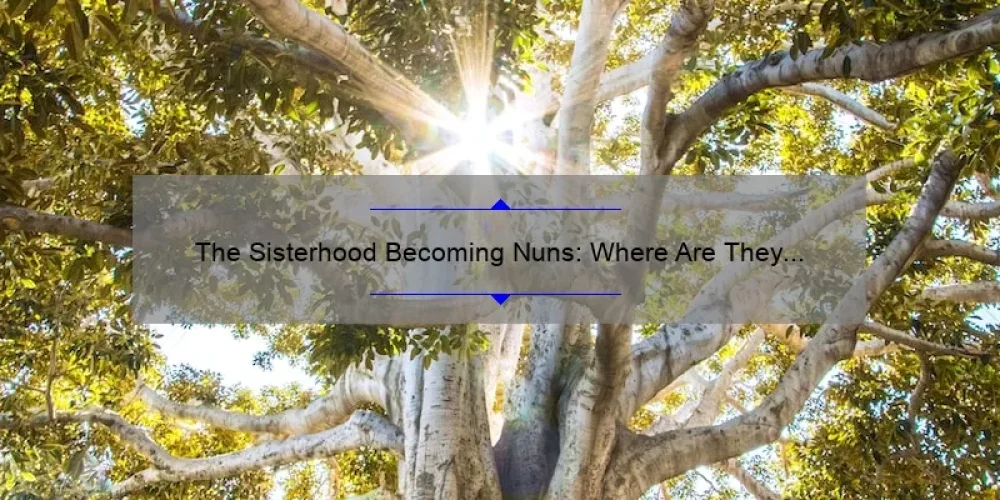 The Sisterhood Becoming Nuns: Where Are They Now in 2020? Discover Their Inspiring Journeys, Surprising Stats, and Practical Tips [For Fans of Religious Life]