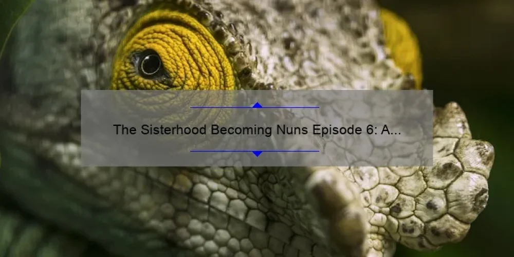 The Sisterhood Becoming Nuns Episode 6: A Compelling Story, Practical Tips, and Eye-Opening Stats [Your Ultimate Guide]