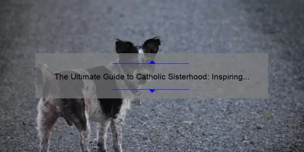 The Ultimate Guide to Catholic Sisterhood: Inspiring Stories, Practical Tips, and Eye-Opening Statistics [For Women Seeking Spiritual Connection]