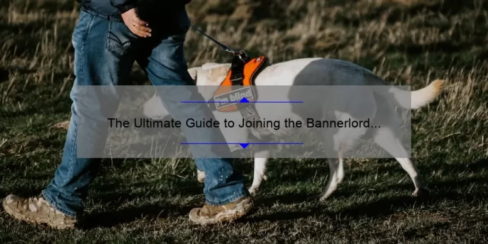 The Ultimate Guide to Joining the Bannerlord Sisterhood: A Personal Story with Stats and Tips [Keyword]