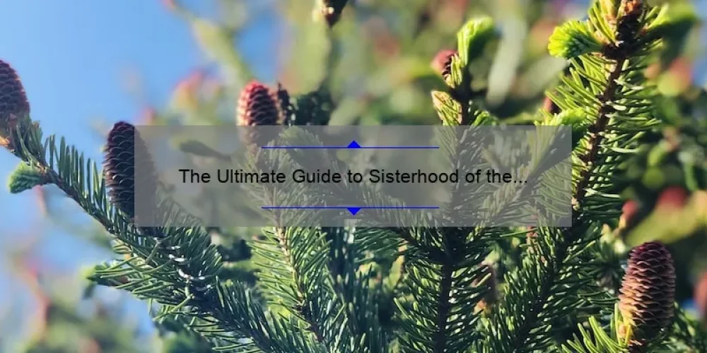 The Ultimate Guide to Sisterhood of the Traveling Pants 3: A Compelling Story, Practical Tips, and Surprising Stats [PDF Download Included]