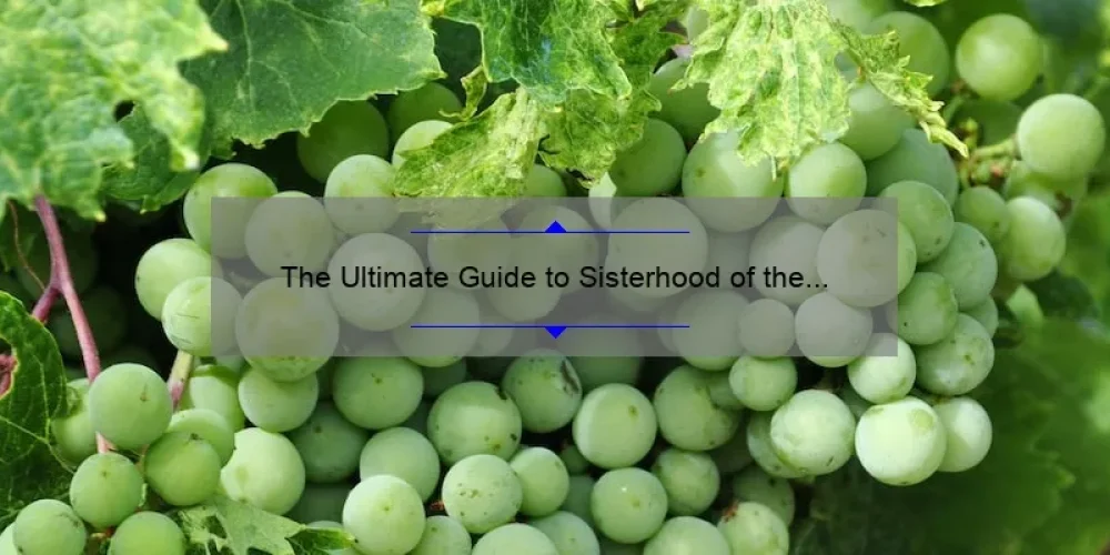 The Ultimate Guide to Sisterhood of the Traveling Wine Fairies: How to Join, Stories from Members, and Surprising Stats [Keyword]