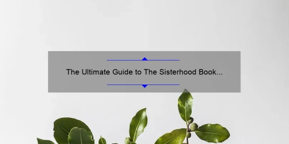 The Ultimate Guide to The Sisterhood Book Series: A Compelling Story, Practical Tips, and Eye-Opening Stats [For Fans and Newcomers]