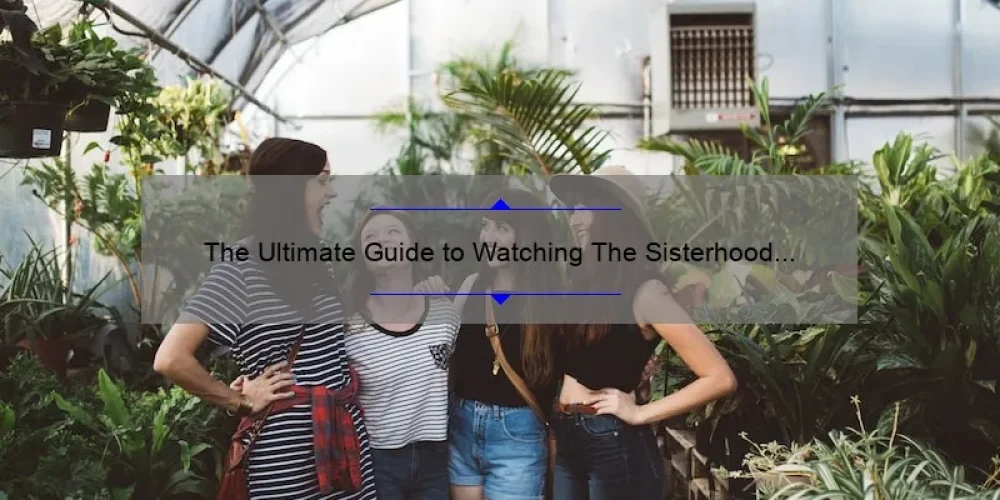 The Ultimate Guide to Watching The Sisterhood of the Traveling Pants 2 Online: A Story of Friendship [with Stats and Tips]