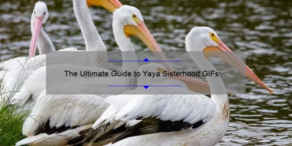 The Ultimate Guide to Yaya Sisterhood GIFs: How to Find, Use, and Share Them [with Examples and Stats]