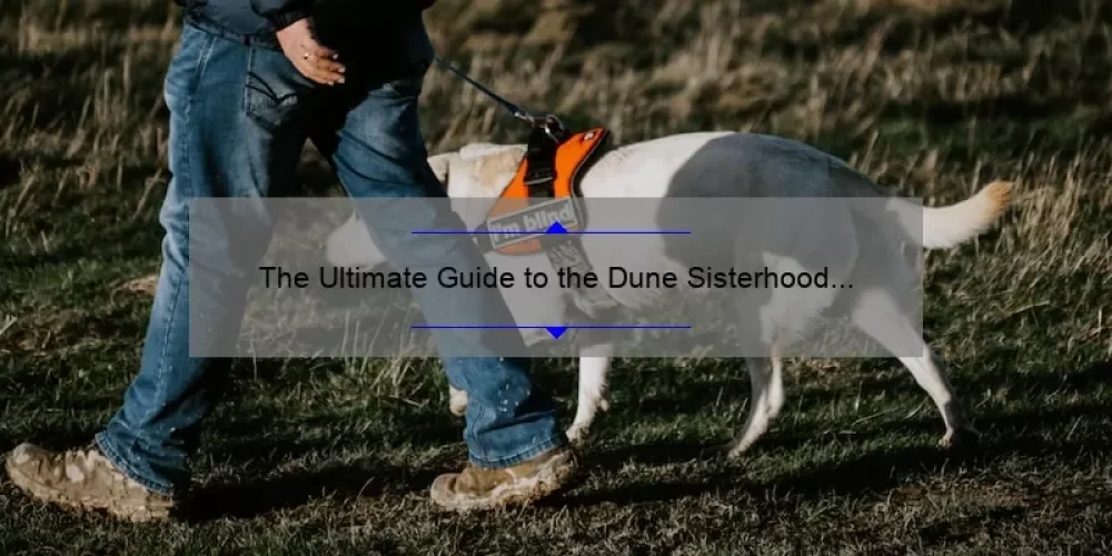The Ultimate Guide to the Dune Sisterhood TV Series: Unveiling the Secrets, Stats, and Stories [2021]