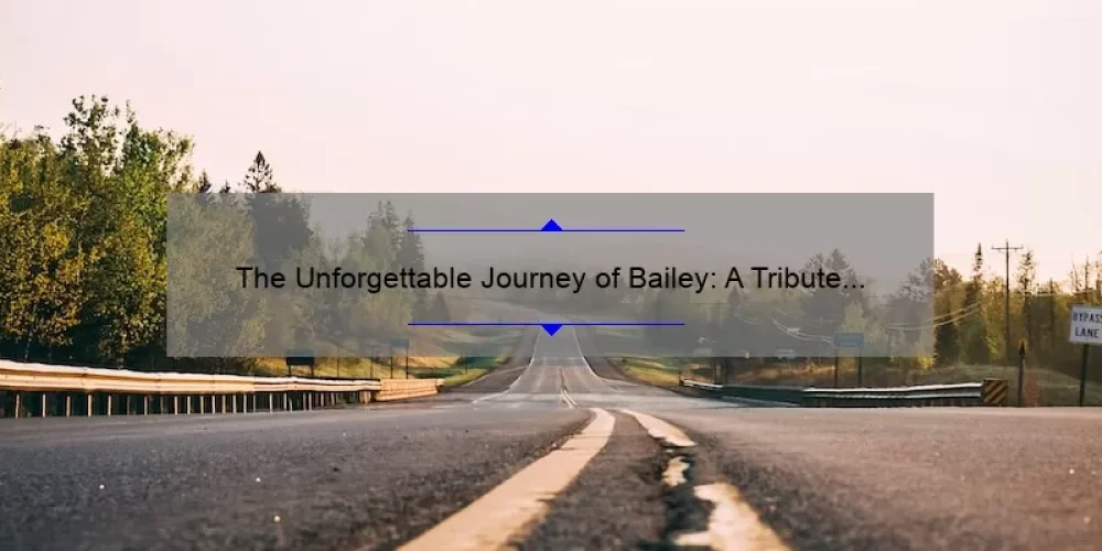 The Unforgettable Journey of Bailey: A Tribute to Sisterhood of the Traveling Pants