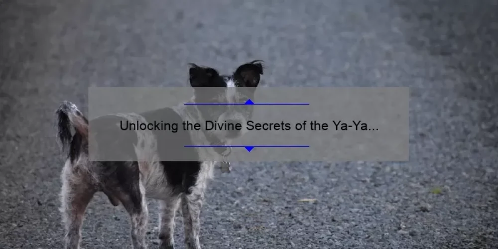 Unlocking the Divine Secrets of the Ya-Ya Sisterhood DVD: A Compelling Story, Practical Tips, and Eye-Opening Stats [For Fans and Collectors]