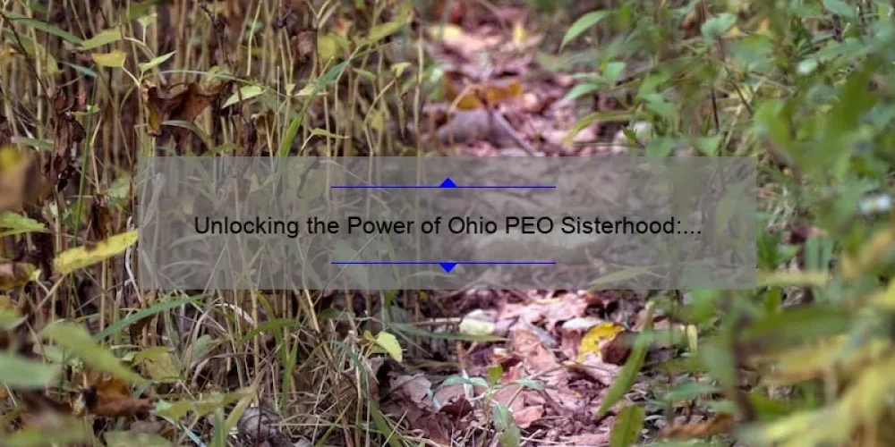 Unlocking the Power of Ohio PEO Sisterhood: A Story of Empowerment and Support [5 Key Strategies for Success]