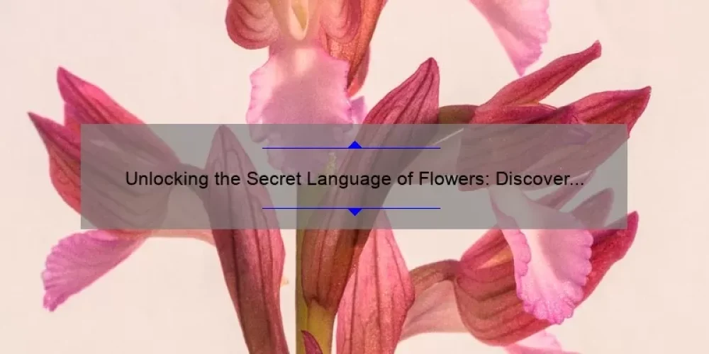 Unlocking the Secret Language of Flowers: Discover the Meaning of Sisterhood [With Fascinating Stories and Practical Tips]