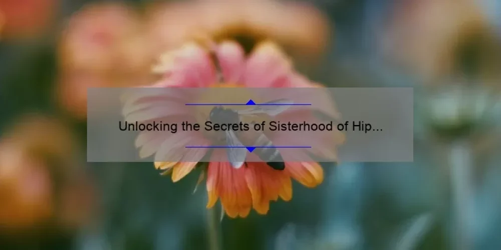 Unlocking the Secrets of Sisterhood of Hip Hop: A Guide to Watching and Understanding the Show [With Stats and Tips]