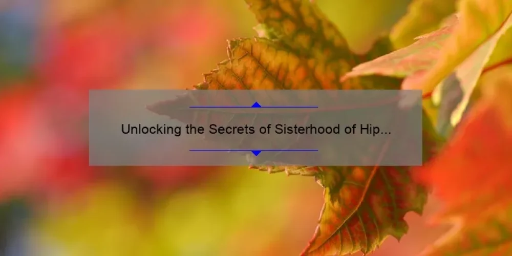 Unlocking the Secrets of Sisterhood of Hip Hop Season 2 Episode 5: A Must-Read Guide for Fans [With Exclusive Insights and Stats]